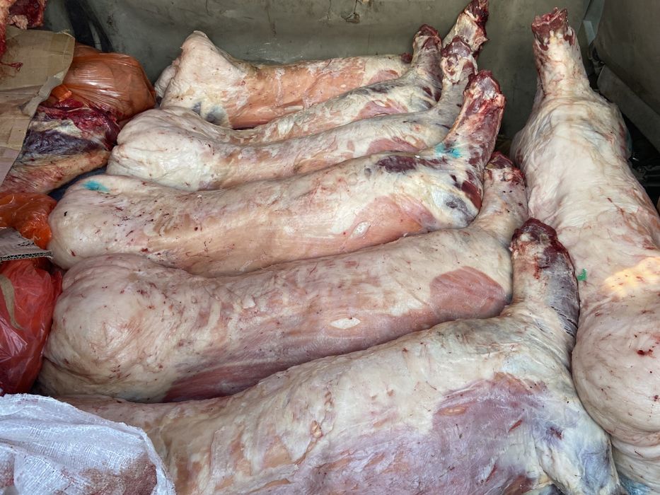 Қойлар , Марқалар , Барашки