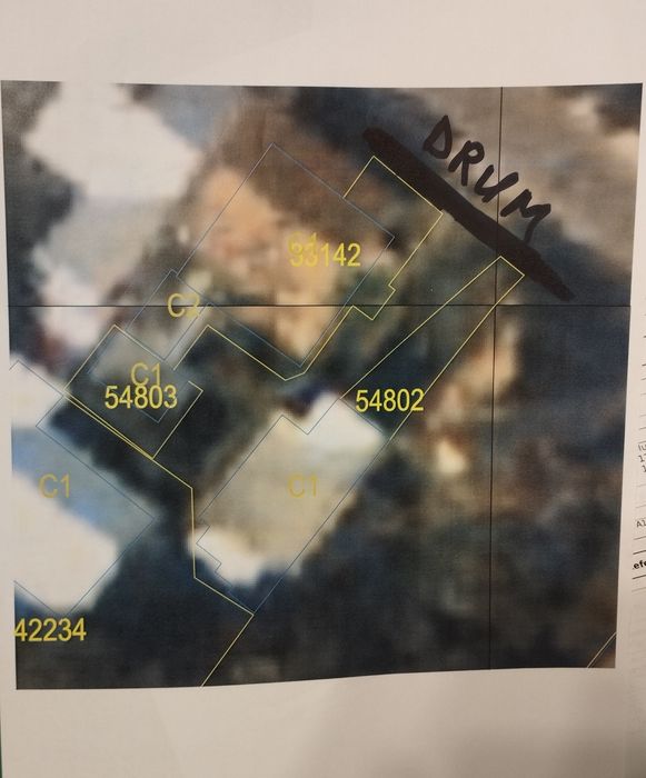 Vand casa vila ultracentral central pe Armeneasca