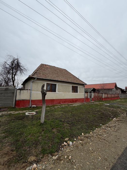 Casă Jebel teren 1696 mp front 30 ml utilitati strada asfaltata