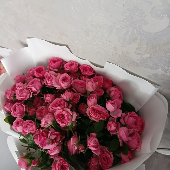 Цветы продам шир