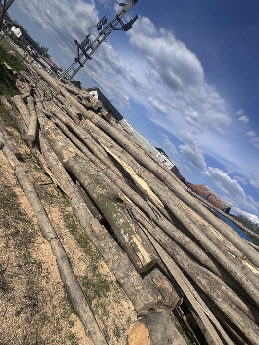 FAG vand lemn de foc