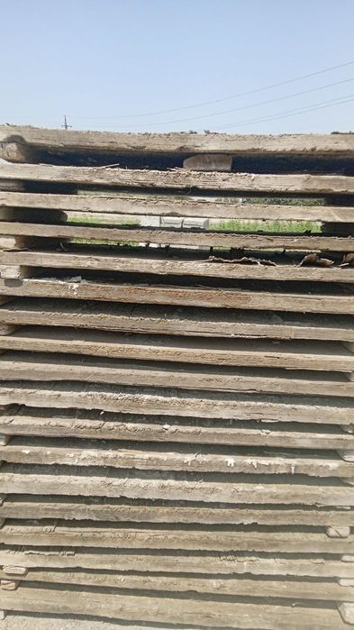 Shkala bolk aparati sotiladi