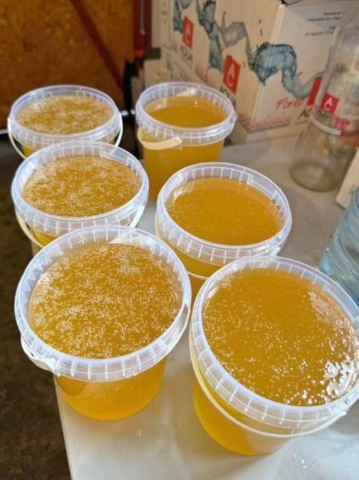 Vând miere de salcâm, tei, rapiță și floarea soarelui!