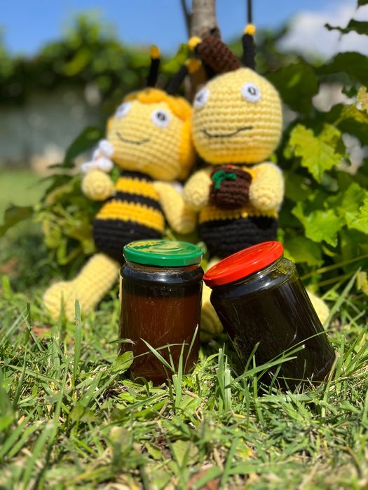 Пчелен манов мед