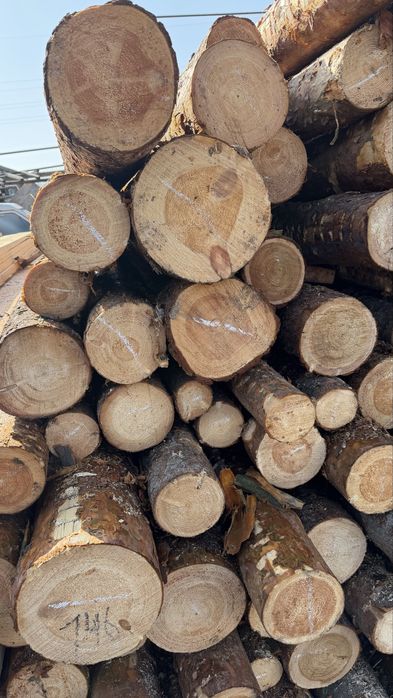 Кругляк , балки сосна бревна