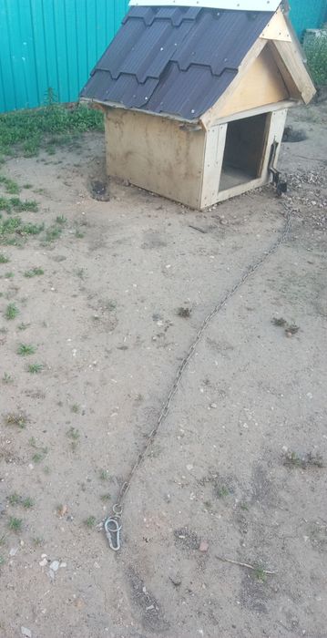 Бутка, домик для собак