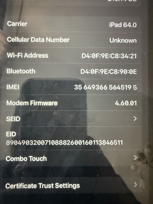 iPad 10th Gen 256GB (Cellular) / Accessories