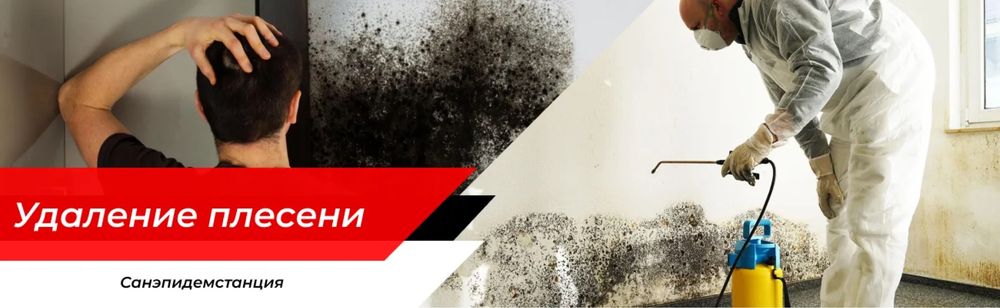 Удаление плесени дезинфекция озонирование