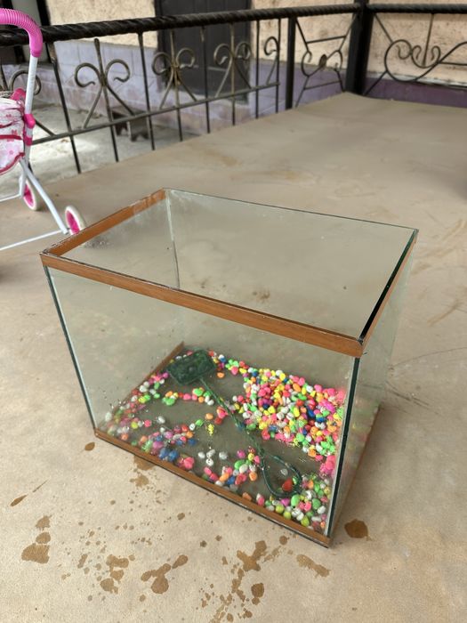 Аквариум,рыбка,для дома,тачка,велосипед