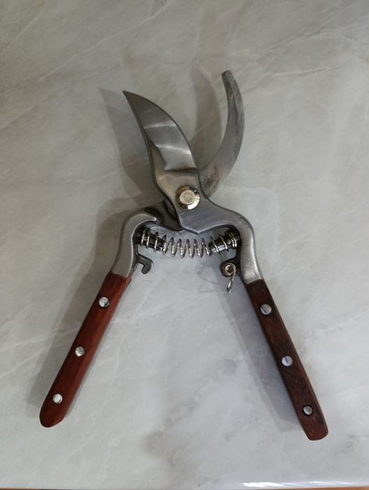 Садовые ножницы ( сикатор )