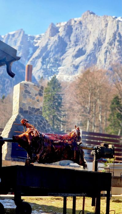 Porc la protap + meniu complet de nunta