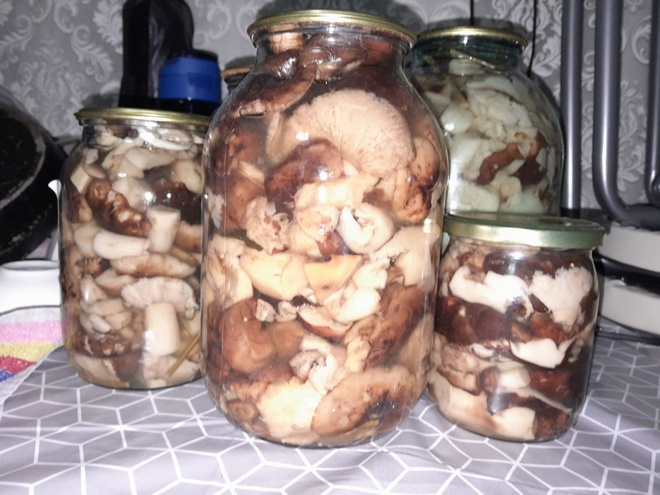 Продам маринованные грибы