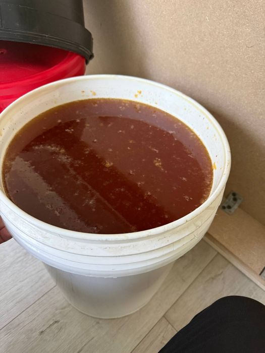 Qirg'iziston o‘rmon asali