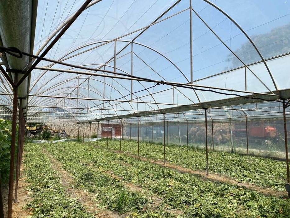 Issiq xona sotiladi 8 sotik 6.4×30