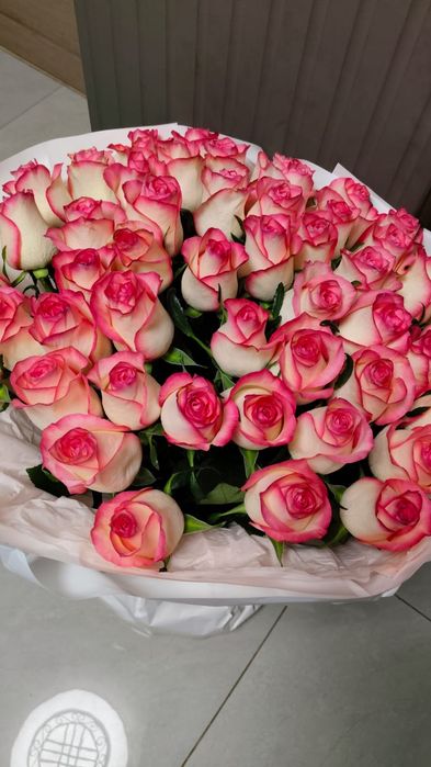 51 Голанских роз