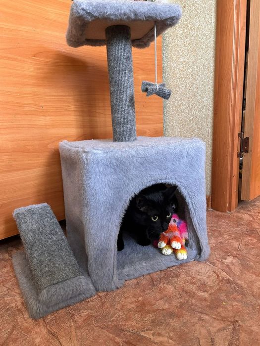 Домик для кошки с когтеточкой