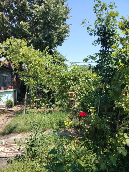 Casa Ploiesti 4 camere si teren 381 mp central