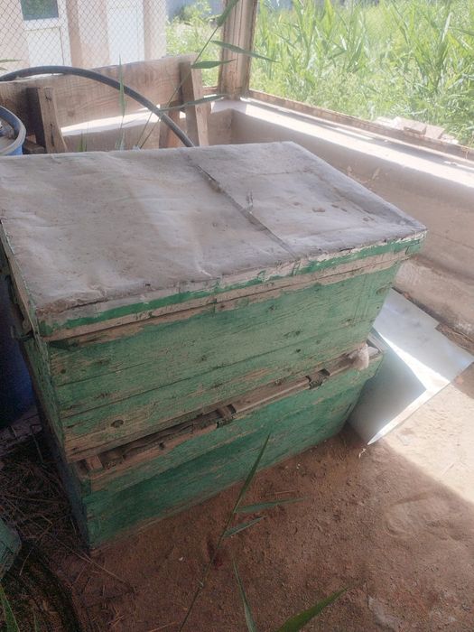 Продам срочно улики