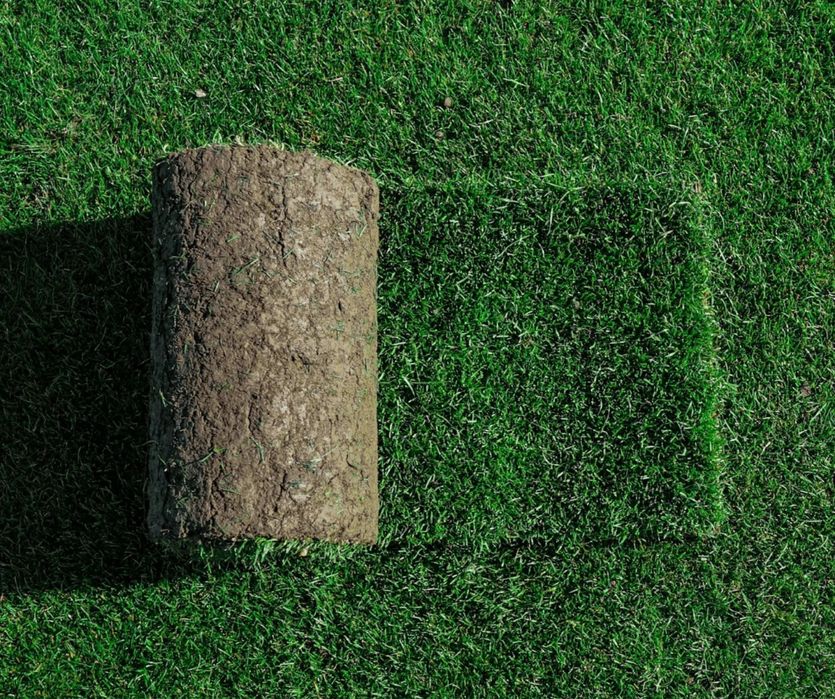 Green delux noi suntem solutia ta