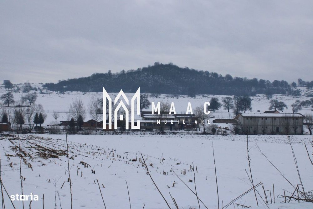 Teren 8000 mp I Intravilan I Utilitati I Vurpar