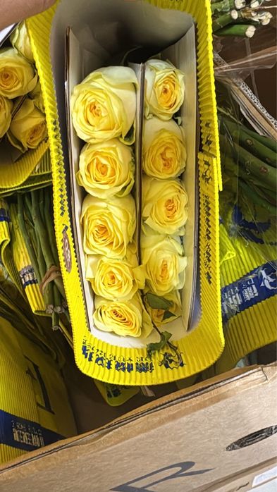 Оптом цветы роза