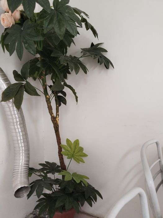 Оборудование для конлитерской