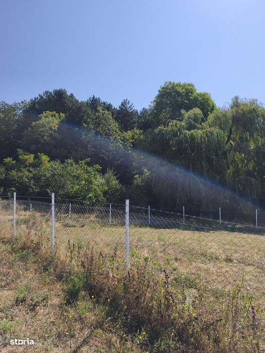 Teren cu o panorama superba,la marginea pădurii ( rezervație naturală)