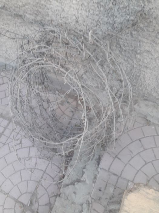 Продам колючую проволоку.