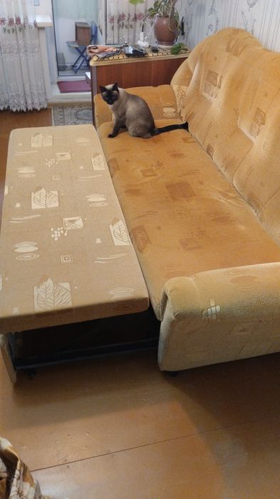 Отдам даром диван самовывоз