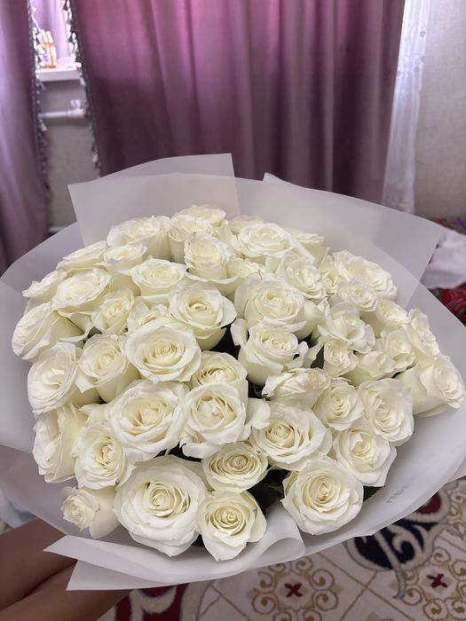 Продаю 51 белую розу
