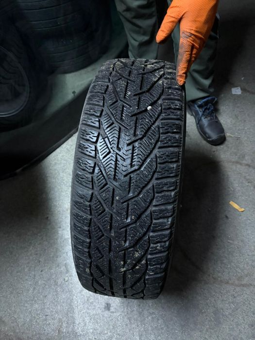 Cauciucuri iarna 225/50/R17