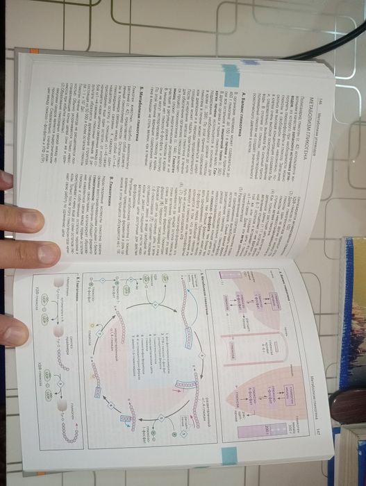 Медицинская биохимия