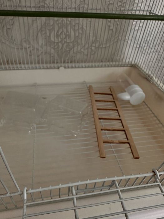 Клетка для попугаев