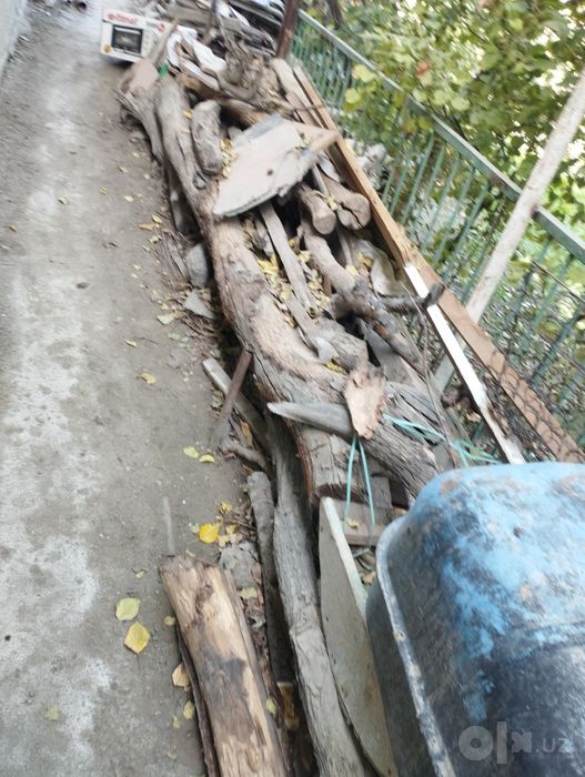 Oʻtinlar sotiladi narxini kelishilgan holda