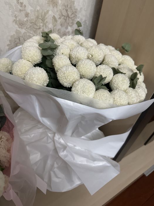 белые красивые цветы