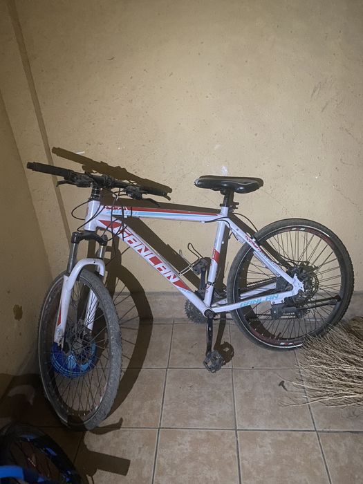 velosiped 850ming kelshamz