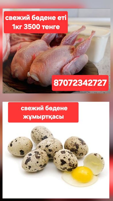 Перепелиные яйца