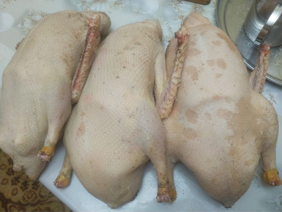 Үйрек, қаз еттері бар