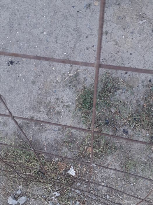 Металически сетка