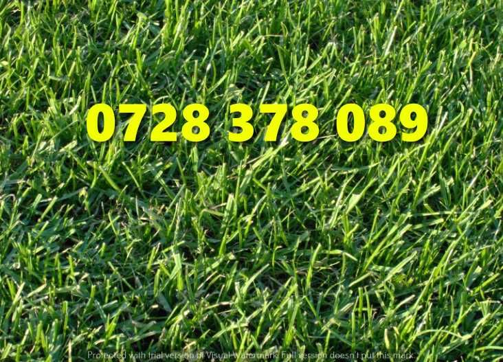 Gazon rulou Sistem de Irigare Oriunde in tara Calitate Extra