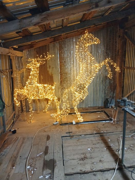 Символ 2026 года.