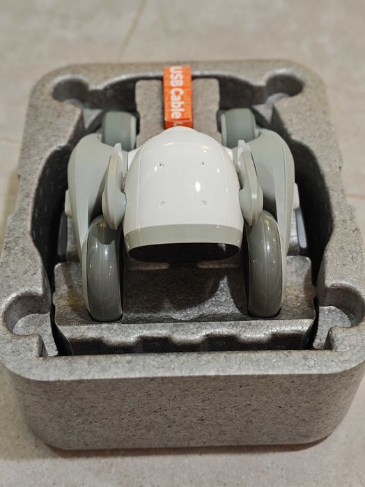 Robot Loona, interactiune inteligenta Chat GPT, recunoastere faciala