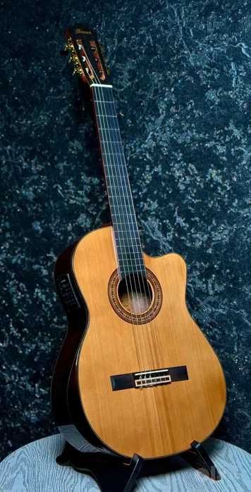 IBANEZ org guitar eq