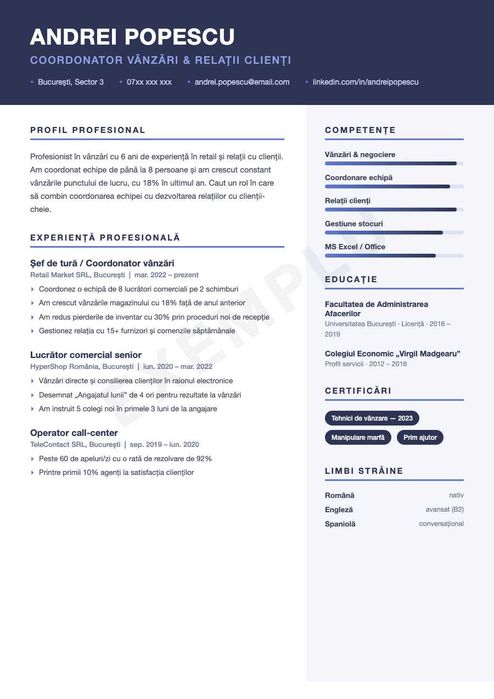 CV Profesional in aceeasi zi - 59 lei - Redactare si Design modern