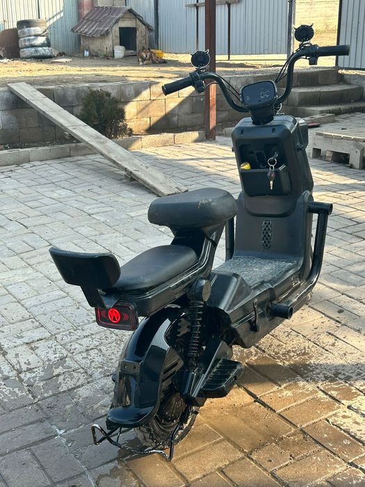 Электронды мапет