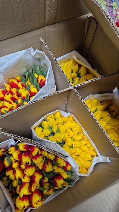 Тюльпаны на 8 марта