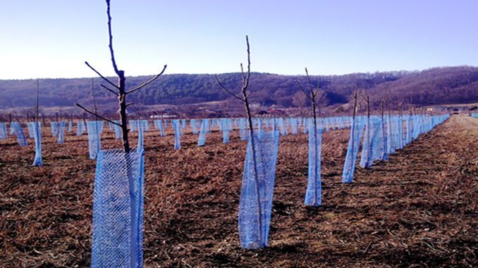 Plasa protectie pomisori/livezi 10cm=230 lei. 14cm=250 lei. Role 100m