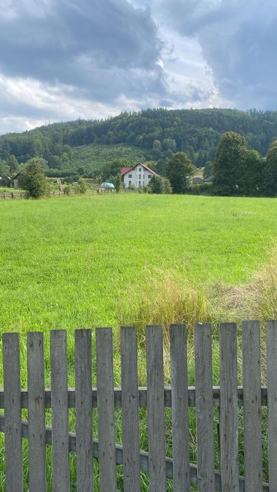 Teren Frasin 6000 m²