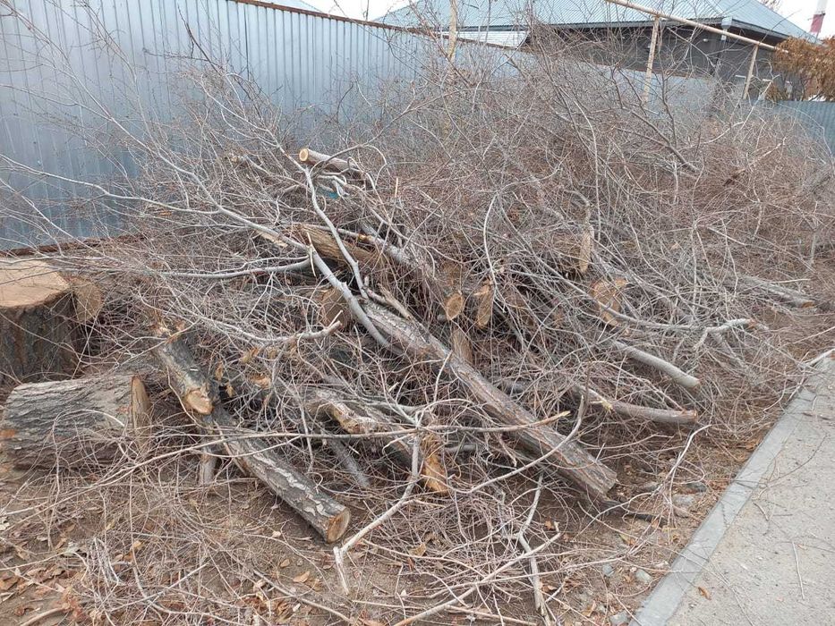 Даром Дрова самовывоз