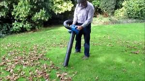 Градинарски услуги/Пръскане/Косене/Рязане/Почистване/